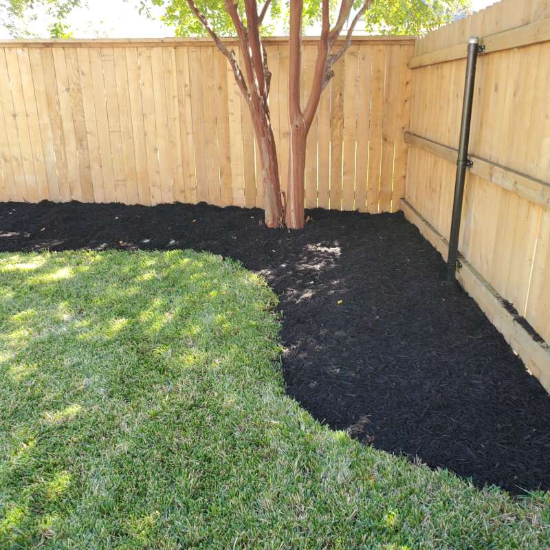 Backyard mulch bed against a cedar fence with a tree
